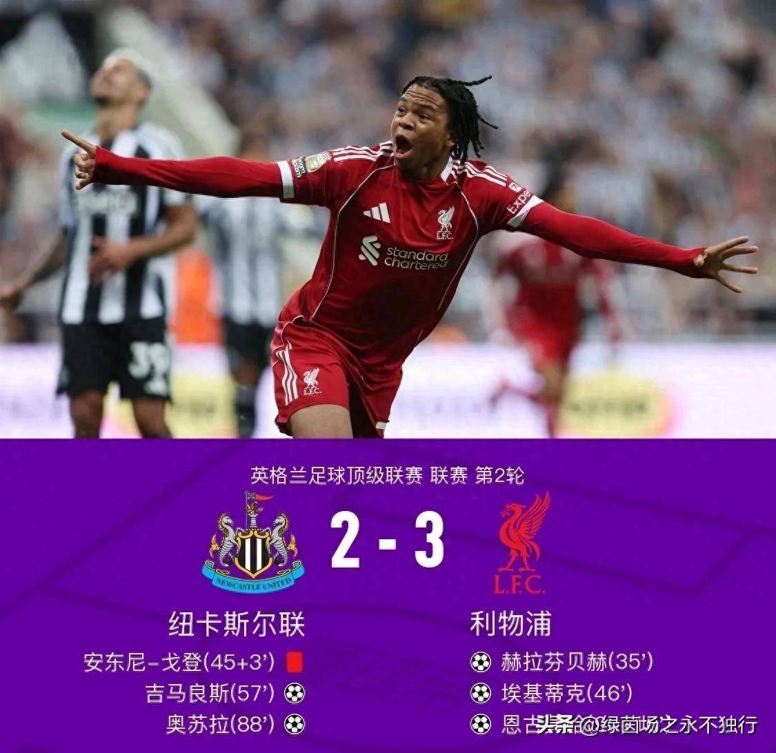 半岛体育娱乐-包含纽卡斯尔联主场失利，积分榜下滑的词条