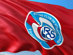 帕尔梅拉斯训练基地开放，备战世俱杯进入冲刺阶段